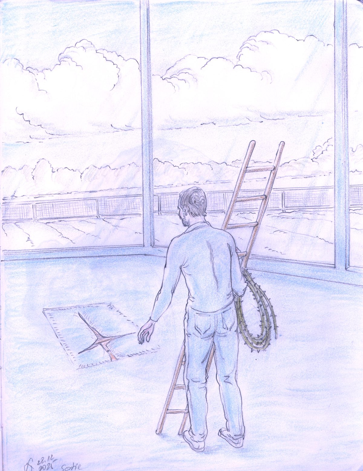 Illustration du rêve : un homme portant une échelle et une liane épineuse face à un tapis flottant marqué d'une étoile